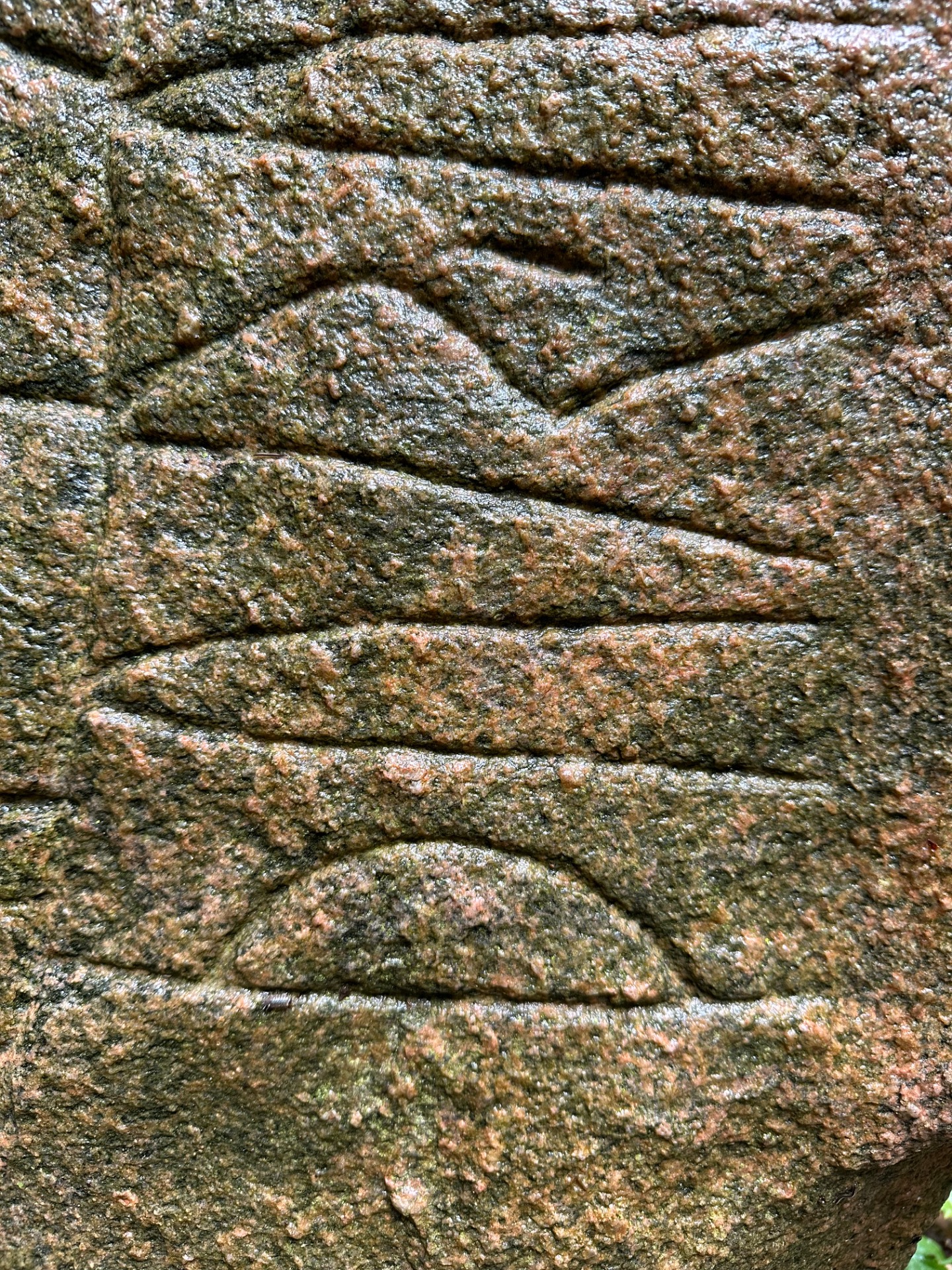 Glavendrupstenen (billede: E.S.Krogh